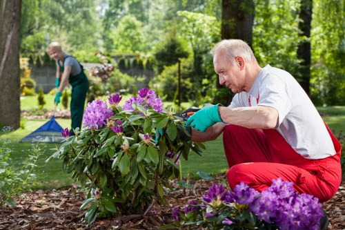 Inspectors reviewing supplier documents for garden services
