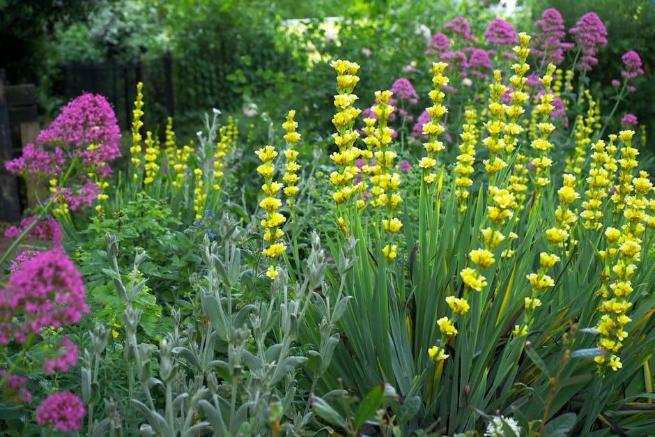 A narrow garden pathway flanked by dense green shrubbery and flowering bushes, including a white-flowered shrub on the right with orange blossoms. On the left, there is a low brick border with leafy p